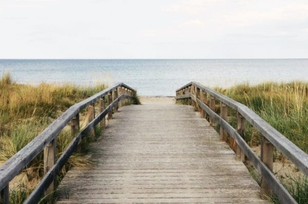 3 huiles essentielles pour l'été, pour stimuler et tonifier l'esprit, améliorer la digestion et apaiser la peau avant d'aller à la plage