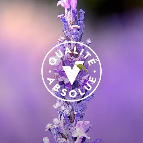 La qualité absolue des préparations et des huiles essentielles du Docteur Valnet.