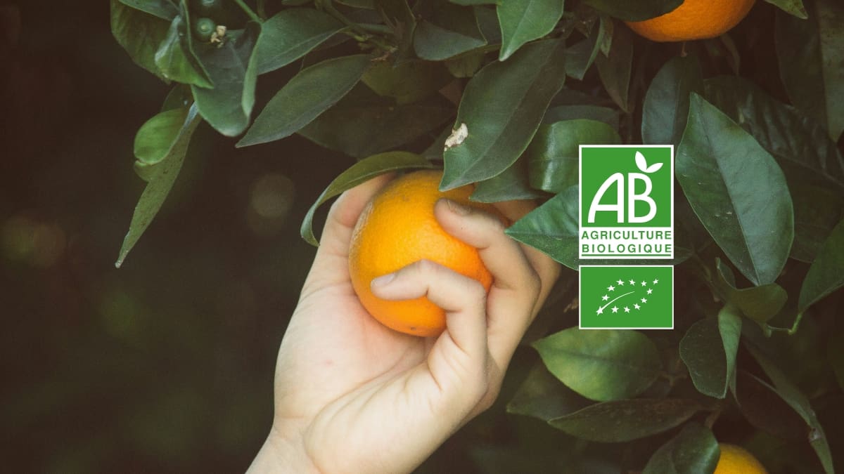 Logo agriculture biologique
