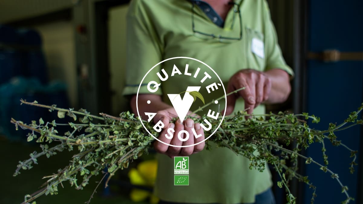 Traçabilité : qualité absolue