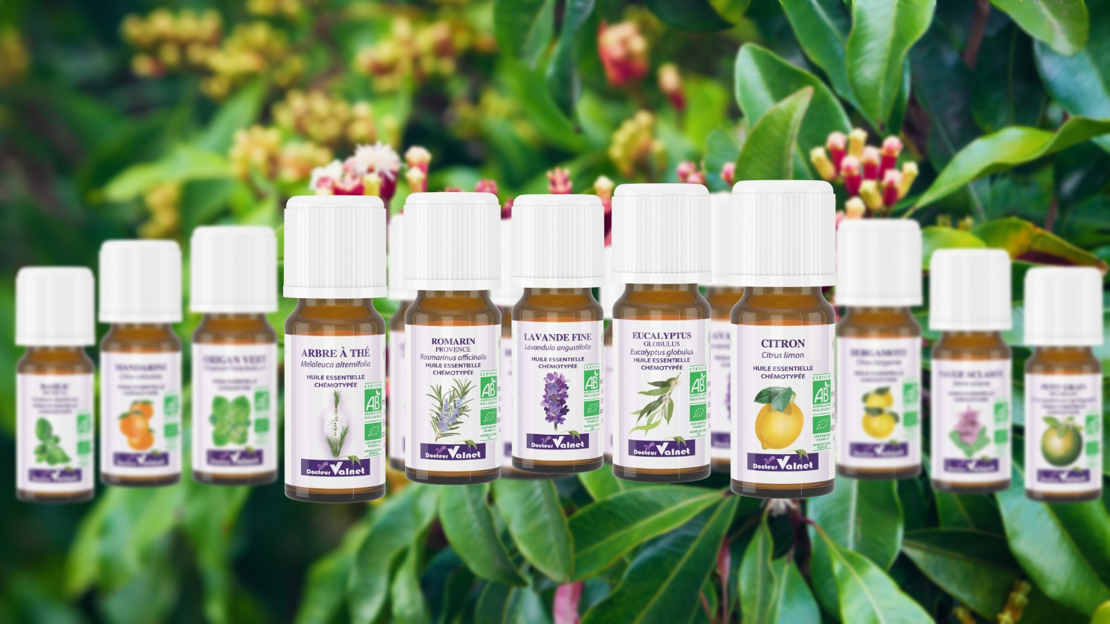 Dr Valnet : huiles essentielles 100% bio, certifiées AB