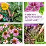 Je crée mon carré médicinal, 20 plantes pour composer sa pharmacie naturelle, Terre