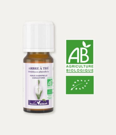 Huile essentielle d'arbre à thé100% BIO, certifiée label AB, Agriculture Biologique.