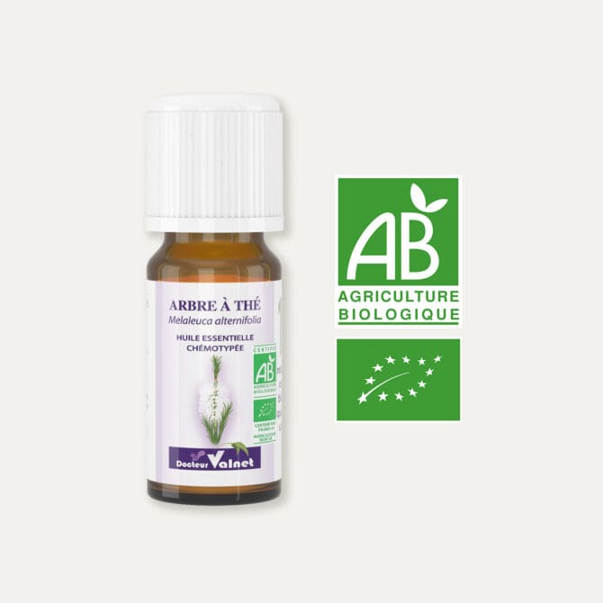 Huile essentielle d'arbre à thé100% BIO, certifiée label AB, Agriculture Biologique.