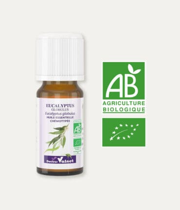 Huile essentielle d'eucalyptus globulus 100% BIO, certifiée label AB, Agriculture Biologique.