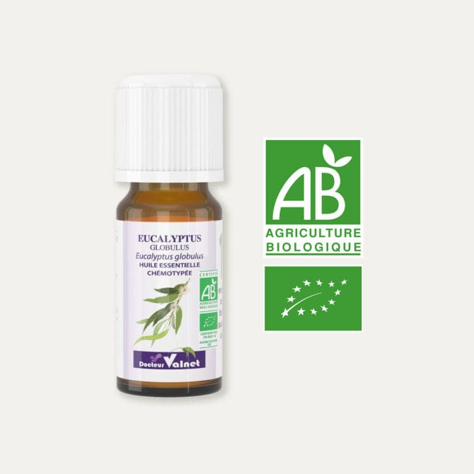 Huile essentielle d'eucalyptus globulus 100% BIO, certifiée label AB, Agriculture Biologique.