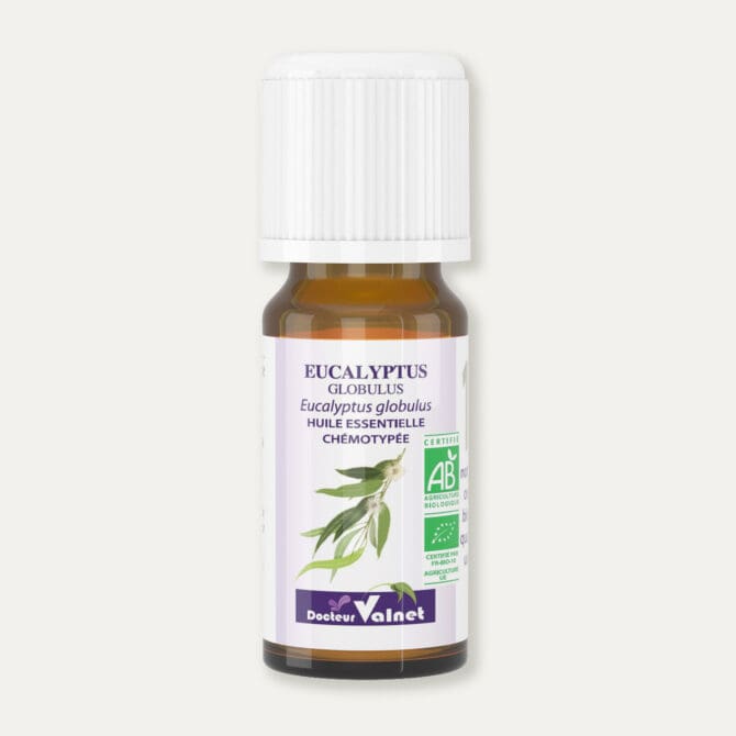 Flacon 10 ml d'huile essentielle d'eucalyptus globulus. Certifiée label AB, Agriculture Biologique.