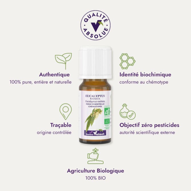 Huile essentielle d'eucalyptus radiata du Dr Valnet (10ml). Qualité Absolue Docteur Valnet. 100% pure, entière et naturelle. Agriculture Biologique. 100% BIO. Identité biochimique : conforme au chémotype. Objectif zéro pesticides.
