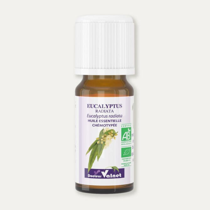 Flacon 10 ml d'huile essentielle d'eucalyptus radiata. Certifiée label AB, Agriculture Biologique.