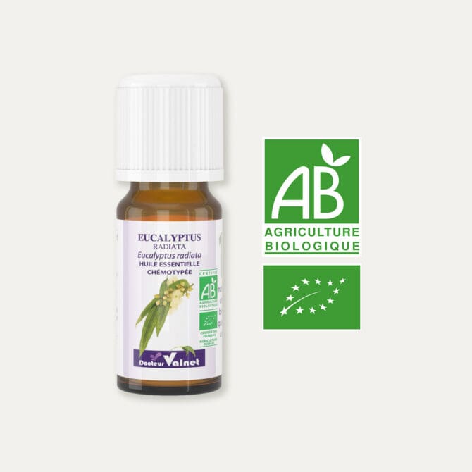 Huile essentielle d'eucalyptus radiata 100% BIO, certifiée label AB, Agriculture Biologique.