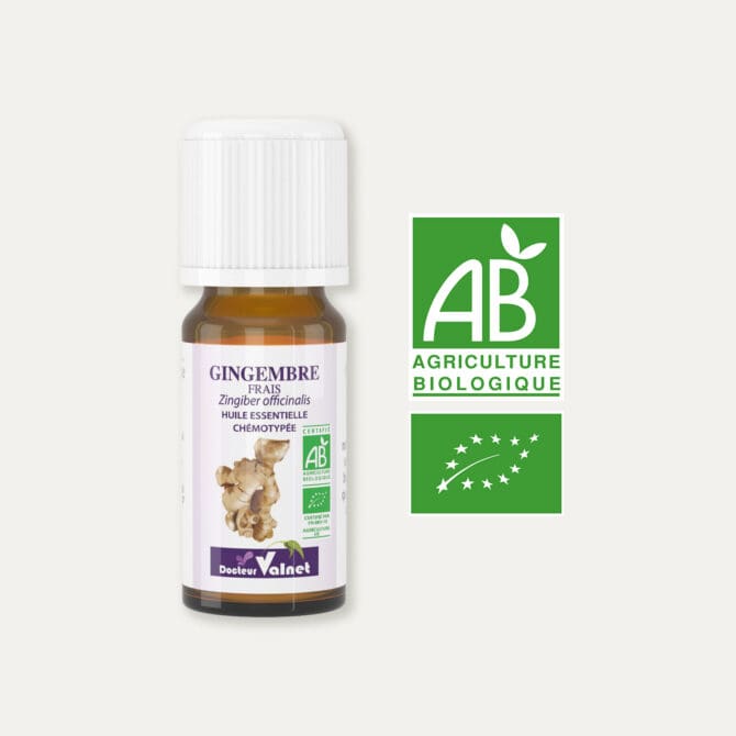 Huile essentielle de gingembre frais 100% BIO, certifiée label AB, Agriculture Biologique.