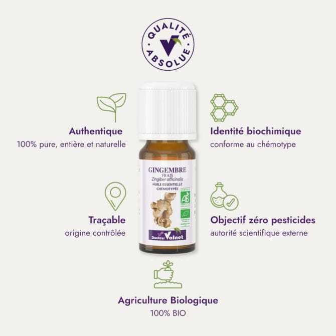 Huile essentielle de gingembre frais du Dr Valnet (10ml). Qualité Absolue Docteur Valnet. 100% pure, entière et naturelle. Agriculture Biologique. 100% BIO. Identité biochimique : conforme au chémotype. Objectif zéro pesticides.
