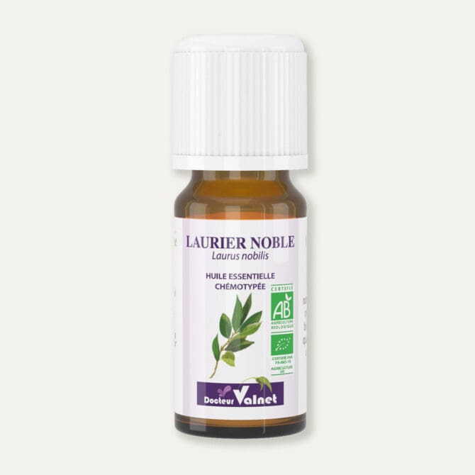 Laurier noble