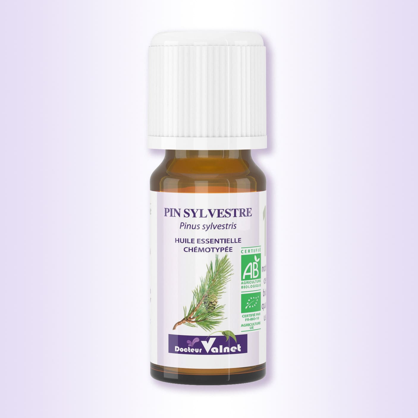 Pin sylvestre