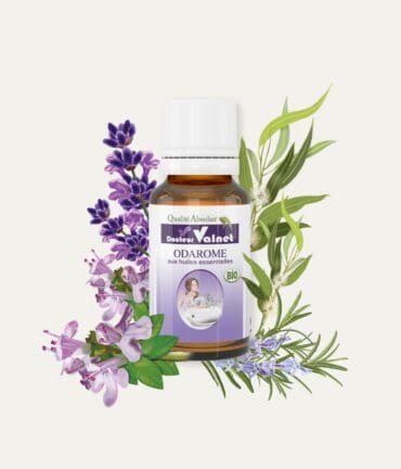 Odarome, préparation pour diffuseur d'arômes à base d'huiles essentielles 100% BIO. Falcon de 15 ml