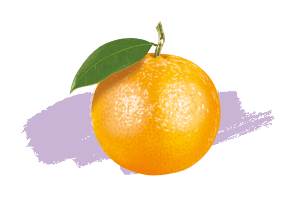 Orange douce