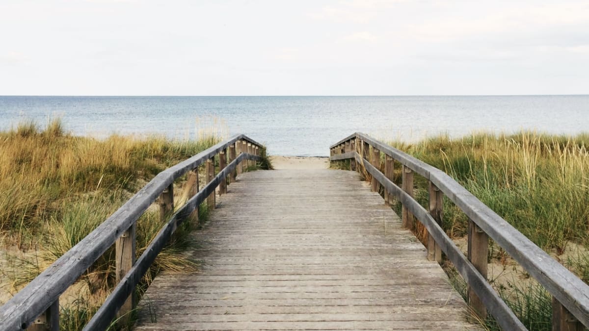 3 huiles essentielles pour l'été, pour stimuler et tonifier l'esprit, améliorer la digestion et apaiser la peau avant d'aller à la plage