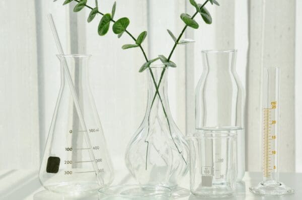 La notion de Chémotype dans l'aromathérapie