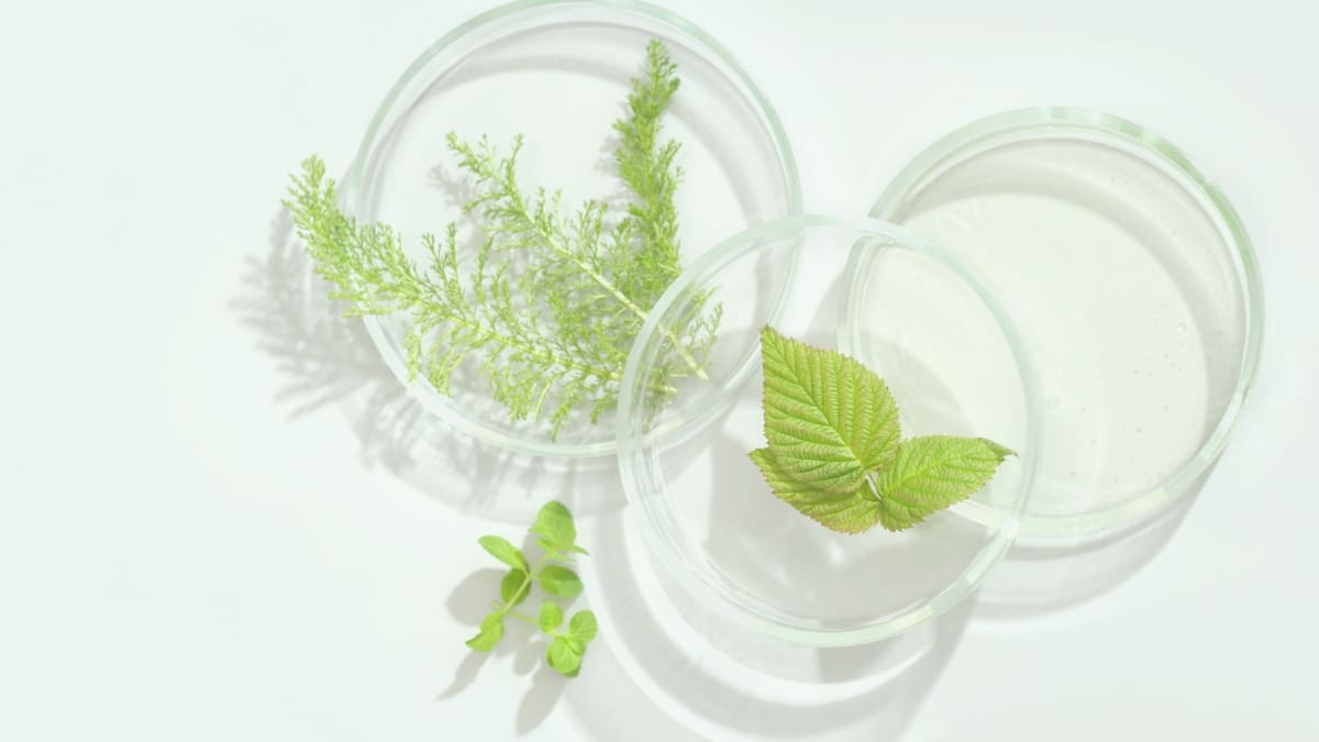 Aromatogramme