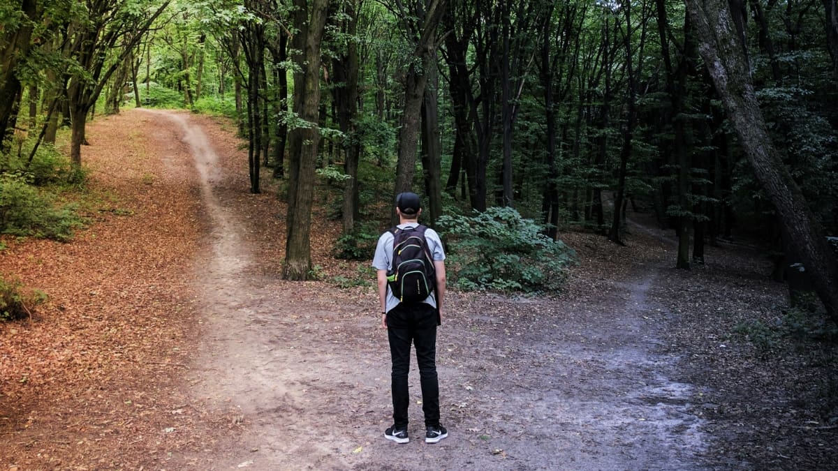 Homme dans une forêt. A gauche, la forêt éclairée. A droite, la forêt sombre.